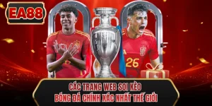 cac trang web soi keo bong da chinh xac nhat the gioi