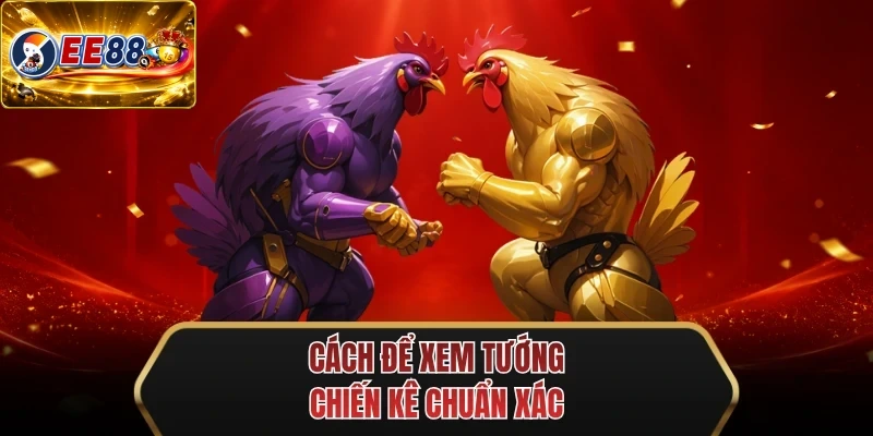 cach de xem tuong chien ke chuan xac