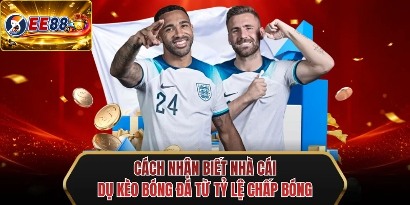 cach nhan biet nha cai du keo bong da tu ty le chap bong