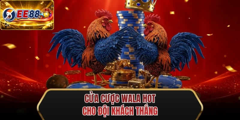 cua cuoc wala hot cho doi khach thang