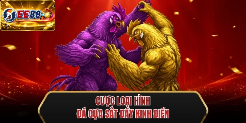 cuoc loai hinh da cua sat day kinh dien