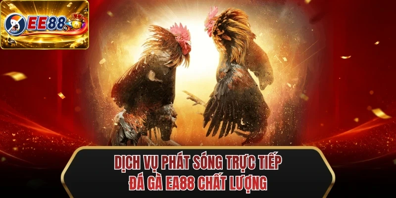 dich vu phat song truc tiep da ga ee88 chat luong