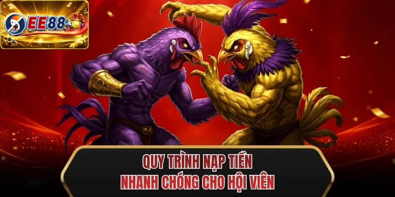 quy trinh nap tien nhanh chong cho hoi vien